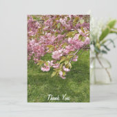 Buffalo Japanse Tuin Roze Kersenbloesem Bedankkaart (Staand voorkant)