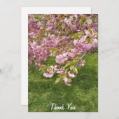 Buffalo Japanse Tuin Roze Kersenbloesem Bedankkaart (Voorkant / Achterkant)