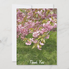 Buffalo Japanse Tuin Roze Kersenbloesem Bedankkaart