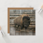 Buffalo Kaart (Voorkant / Achterkant in situ)