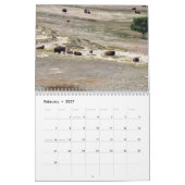 Buffalo Kalender (Feb 2027)