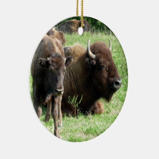 Buffalo kan Calf Ornament (Rechts)