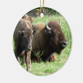 Buffalo kan Calf Ornament (Links)