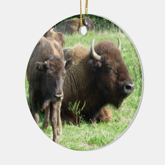 Buffalo kan Calf Ornament (Links)
