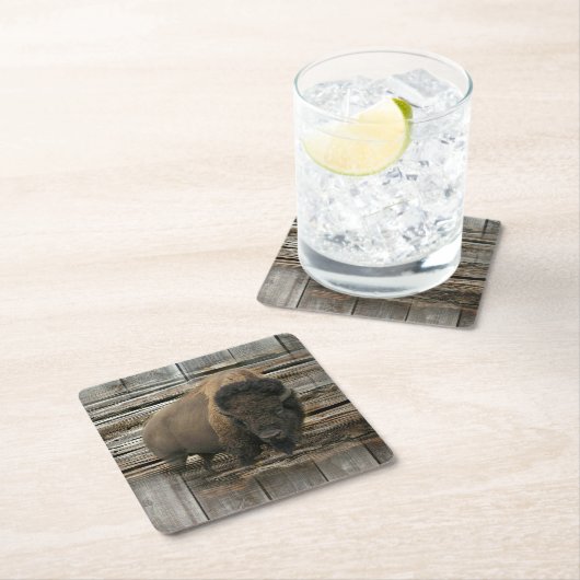 Buffalo Kartonnen Onderzetters (Insitu)