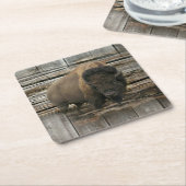 Buffalo Kartonnen Onderzetters (Schuin)