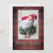 Buffalo kerstfoto feestdagenkaart (Voorkant)