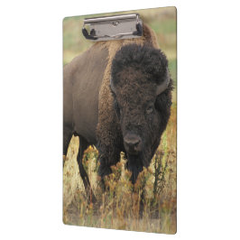 Buffalo Klembord