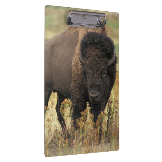 Buffalo Klembord (Rechts)