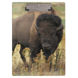 Buffalo Klembord