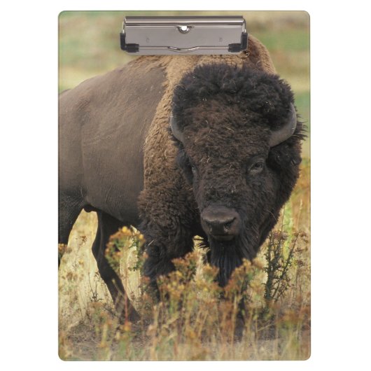 Buffalo Klembord (Voorkant)