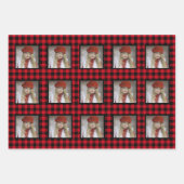 Buffalo met kerstmis inpakpapier vel (Voorkant)