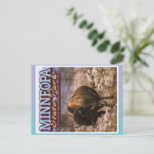BUFFALO - MINNEOPA STATE PARK - MINNESOTA USA BRIEFKAART (Staand voorkant)