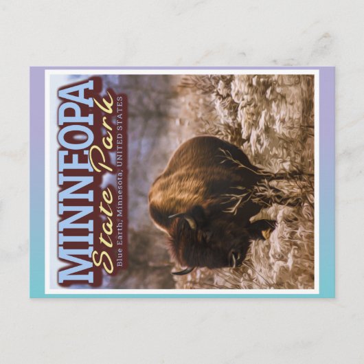 BUFFALO - MINNEOPA STATE PARK - MINNESOTA USA BRIEFKAART (Voorkant)