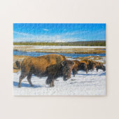 Buffalo Montana. Legpuzzel (Horizontaal)