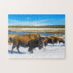 Buffalo Montana. Legpuzzel