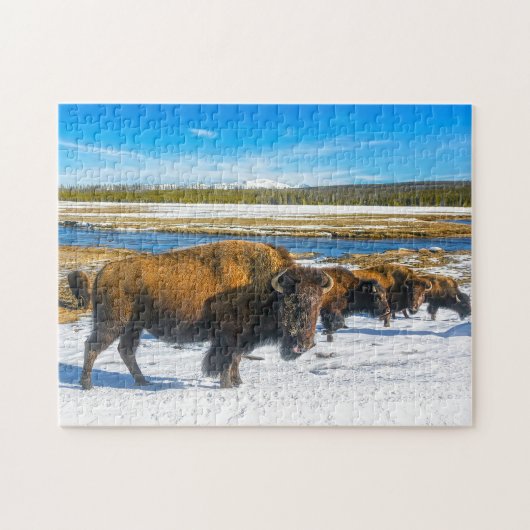 Buffalo Montana. Legpuzzel (Horizontaal)