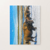 Buffalo Montana. Legpuzzel (Verticaal)