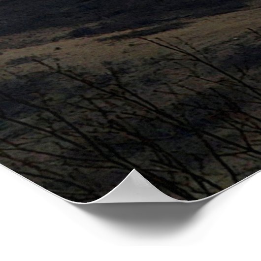 Buffalo Mountain op Sunset Poster (Hoek)