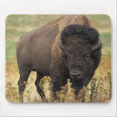 Buffalo Muismat (Voorkant)