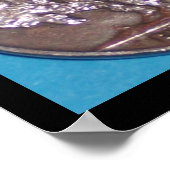 BUFFALO NICKLE POSTER (Hoek)