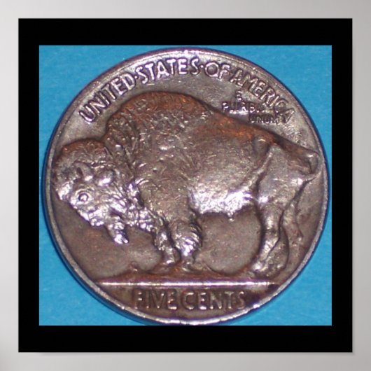 BUFFALO NICKLE POSTER (Voorkant)