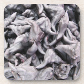 Buffalo Nuts - Waterkaltrop Bier Onderzetter (Voorkant)