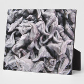 Buffalo Nuts - Waterkaltrop Fotoplaat (Zijkant)