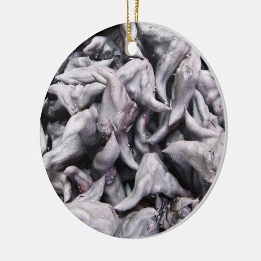 Buffalo Nuts - Waterkaltrop Keramisch Ornament (Links)