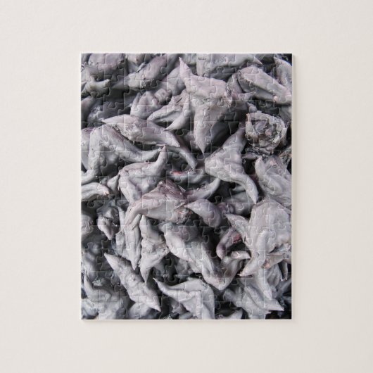 Buffalo Nuts - Waterkaltrop Legpuzzel (Verticaal)