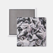 Buffalo Nuts - Waterkaltrop Magneet (Voorkant / Achterkant)