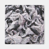 Buffalo Nuts - Waterkaltrop Magneet (Voorkant)