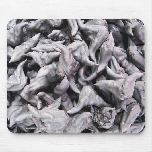 Buffalo Nuts - Waterkaltrop Muismat (Voorkant)