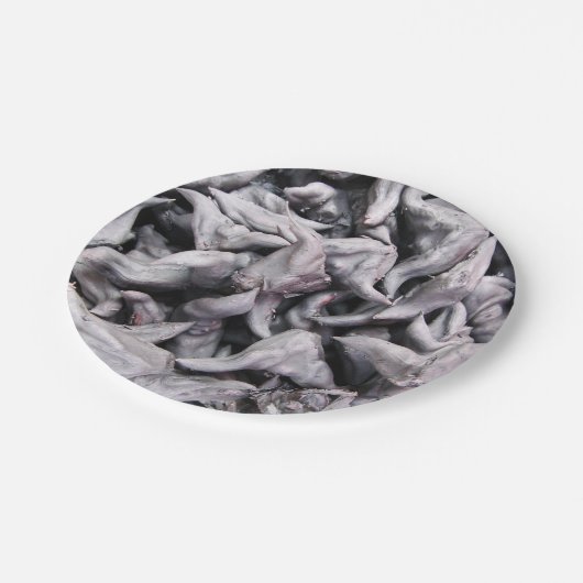 Buffalo Nuts - Waterkaltrop Papieren Bordje (Gekanteld)