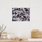 Buffalo Nuts - Waterkaltrop Poster (Keuken)