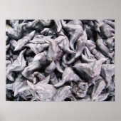 Buffalo Nuts - Waterkaltrop Poster (Voorkant)