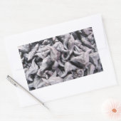 Buffalo Nuts - Waterkaltrop Rechthoekige Sticker (Envelop)