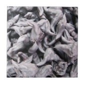 Buffalo Nuts - Waterkaltrop Tegeltje (Voorkant)