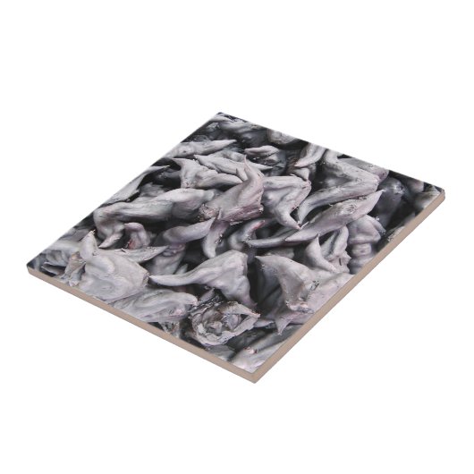 Buffalo Nuts - Waterkaltrop Tegeltje (Zijkant)