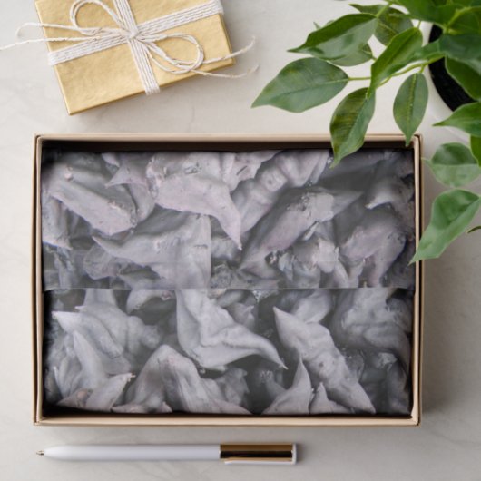 Buffalo Nuts - Waterkaltrop Tissuepapier (Geschenk)