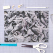 Buffalo Nuts - Waterkaltrop Tissuepapier (Craft)