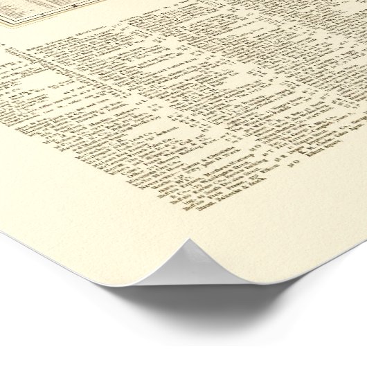 Buffalo, NY Panoramic Map - 1902 Poster (Hoek)