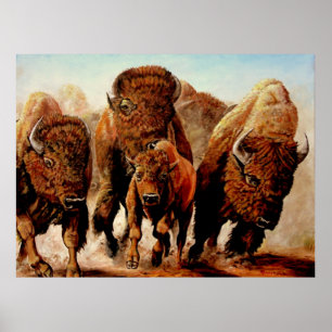 Buffalo "On the run" Poster
