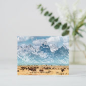 Buffalo onder het Grand Teton-gebergte Briefkaart (Staand voorkant)