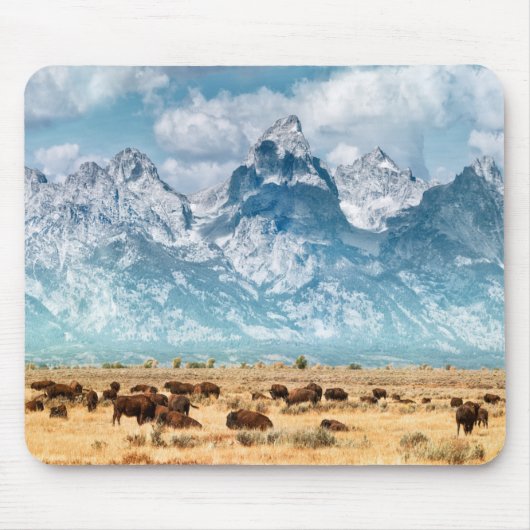 Buffalo onder het Grand Teton-gebergte Muismat (Voorkant)