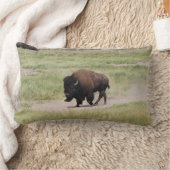Buffalo onderweg, fotografie kussen (Deken)