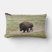 Buffalo onderweg, fotografie kussen (Voorkant)