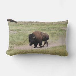 Buffalo onderweg, fotografie kussen