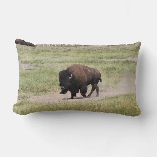 Buffalo onderweg, fotografie kussen (Voorkant)