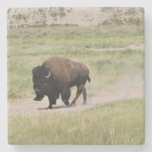 Buffalo onderweg, fotografie stenen onderzetter